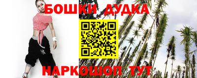 гидра Жуковский